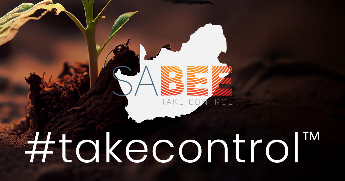 Sbhee SABEE | B-BBEE Explained
